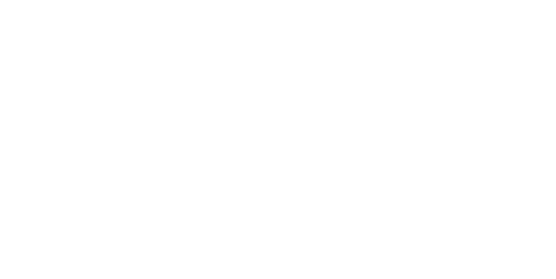 convoyage pro driving